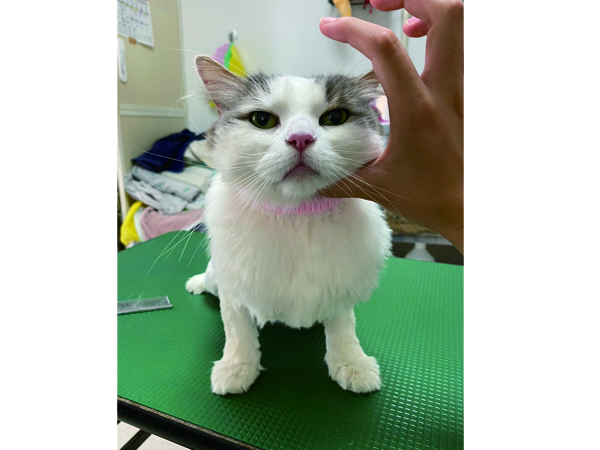 卒業生懇談会に来てくれた先輩♪～磯崎さん～